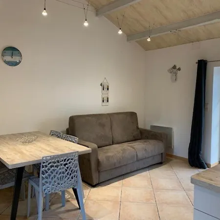 Maison Bretignolles-sur-mer, 2 Pieces, 2 Personnes - Fr-1-231-233 *